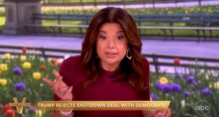 The View Admits Dems 'Holding Up Funding,' But Still 'a Republican Problem'