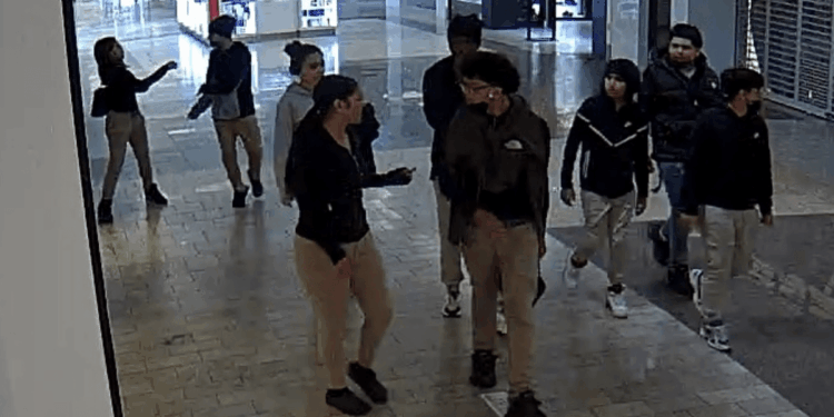 ​Gang of teens caught on video beating up, robbing victim in shopping mall; similar attack happened at same mall last month