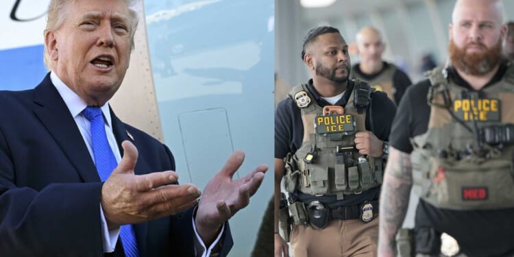 Trump says Democrats' scheme against DHS has backfired: 'The Public is loving ICE'