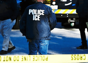 Guatemalan laborers get surprise visit from federal agents during home renovation: 'We left home'