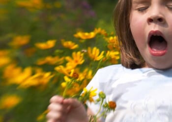 The top 5 apps to beat your seasonal allergies before they beat you