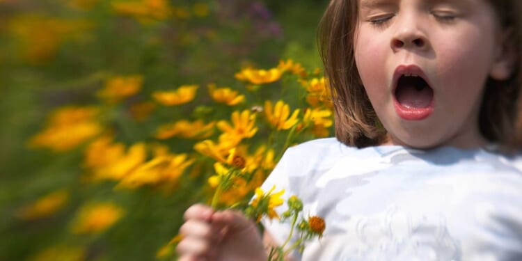 The top 5 apps to beat your seasonal allergies before they beat you