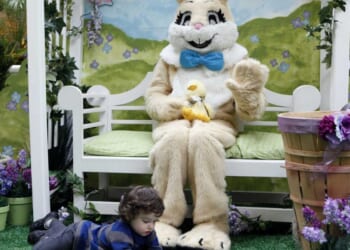 Man allegedly gropes Easter Bunny at mall