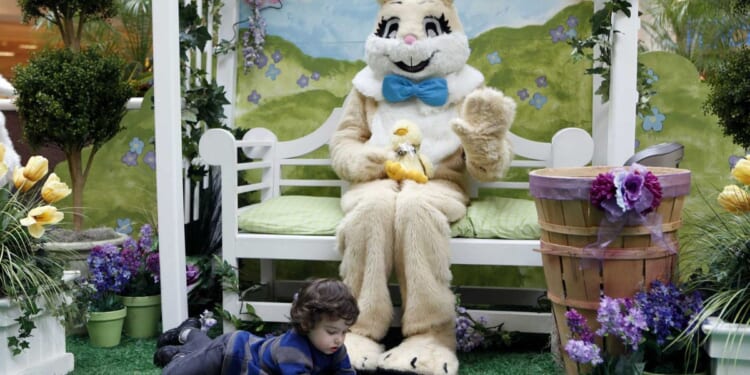 Man allegedly gropes Easter Bunny at mall