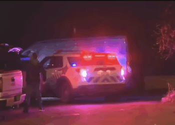 18-year-old college student killed by illegal alien