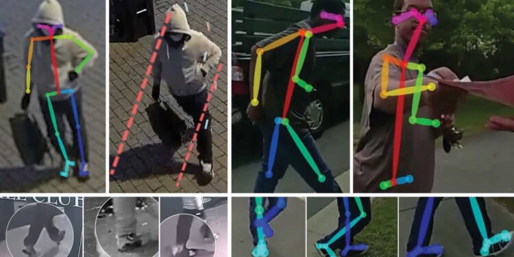 Brian Cole Jr.’s physical presence, posture, mannerisms are no match to FBI's hoodie-clad pipe-bomb suspect