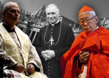 Cardinal Zen on the SSPX Case