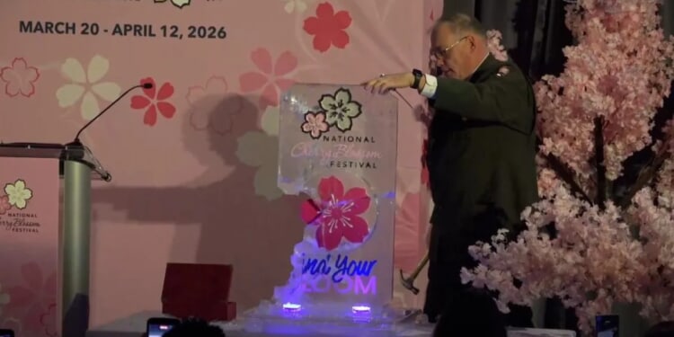 DC Cherry Blossom peak bloom announced