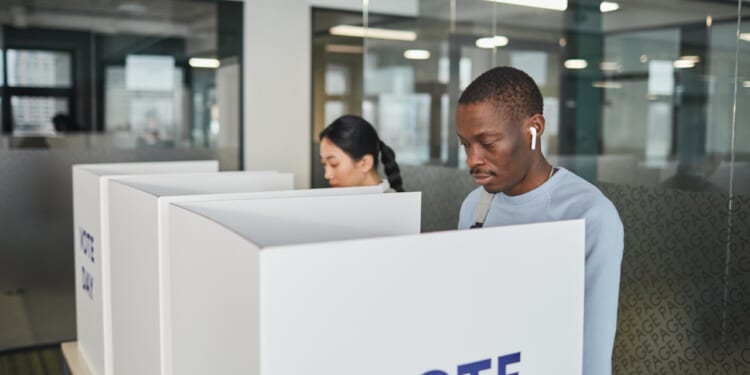 Dems' Lies About The SAVE Act Are So Lazy They're Racist