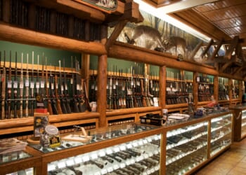 Dems Want Your Guns Because Violent Crime Gives Them Power