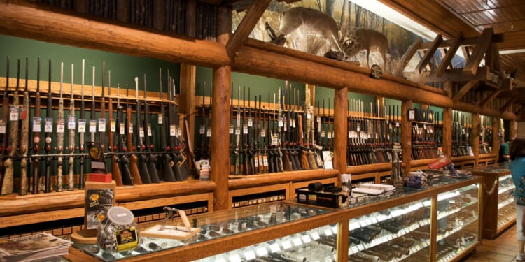 Dems Want Your Guns Because Violent Crime Gives Them Power