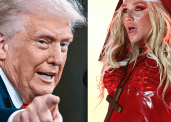 'Disgusting and inhumane': Pop singer furious that her song was used by White House 'to incite violence'