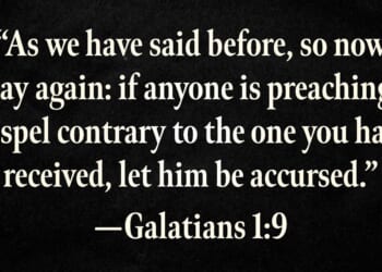 Emmy Griffin: Who Is Texas's James Talarico?