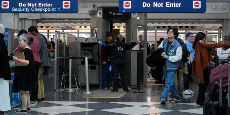 Flight attendants union trashes Trump's ICE airport ploy