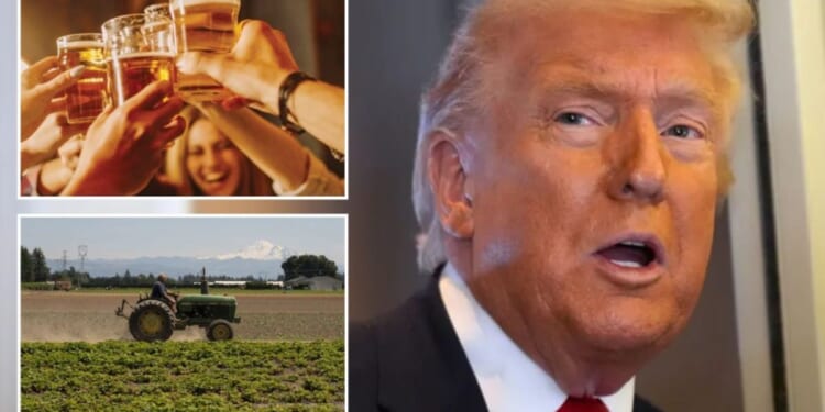 House lawmakers ask Trump not to tariff Mexican beer