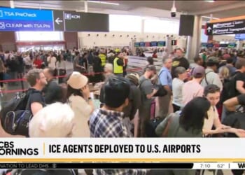 ICE Saves Lives — and Air Travel