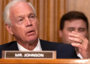Johnson says Democrats use 'two martyrs' to defund police