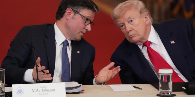 Johnson says GOP had 'hiccup' with Hispanic voters over ICE operations