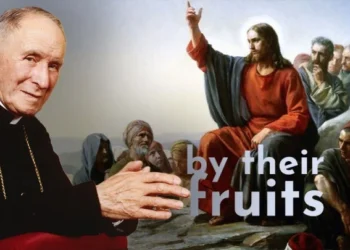 Judge the Tree by Its Fruits: Sermon on the Mount, Rome, and the Case for the SSPX