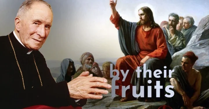 Judge the Tree by Its Fruits: Sermon on the Mount, Rome, and the Case for the SSPX