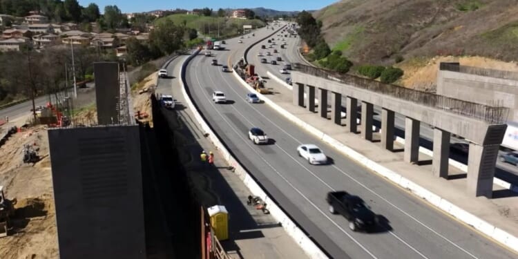 California wildlife bridge project