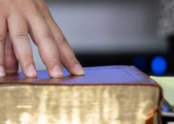 Megachurch pastor ousted following Robert Morris' child sex abuse scandal starts ministry up again