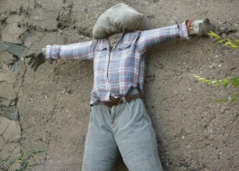 Michael Smith: Human Shield Politics