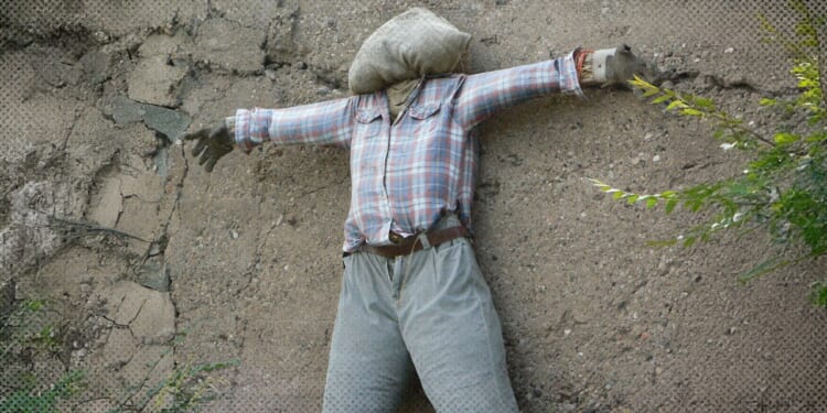 Michael Smith: Human Shield Politics