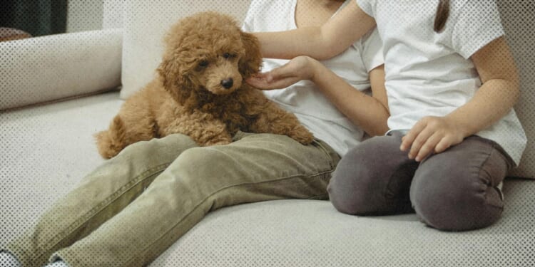 Michael Smith: Want to Fix America's Broken Culture? Get Your Kid a Dog