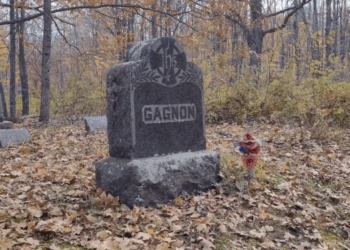 Michigan's Dirty And Dead-Ridden Voter Rolls Escape Scrutiny