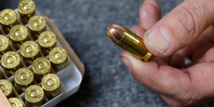 Ninth Circuit grills California over gun ammo background check law
