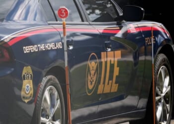 Noem associate Madison Sheahan bought 2,500 marked vehicles for ICE