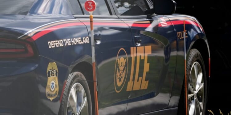 Noem associate Madison Sheahan bought 2,500 marked vehicles for ICE