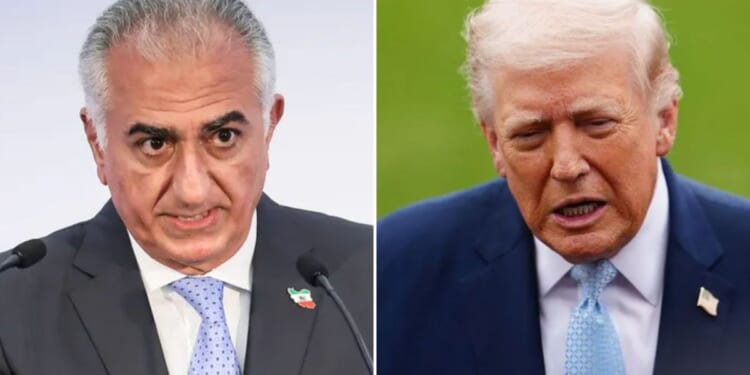 Pahlavi pleads with Trump to back off strike threat over Hormuz