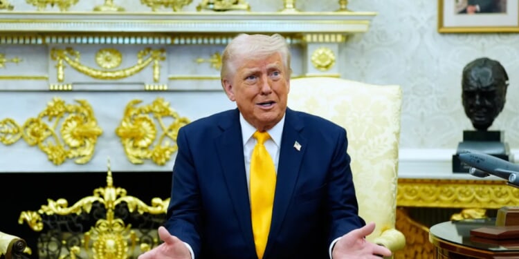 Poll finds almost half of Americans are 'ashamed' of Trump