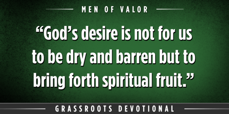 Ron Helle: Desert Song | The Patriot Post