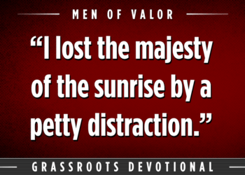 Ron Helle: Distractions | The Patriot Post