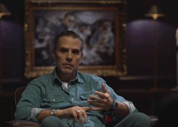 Hunter Biden during an interview.