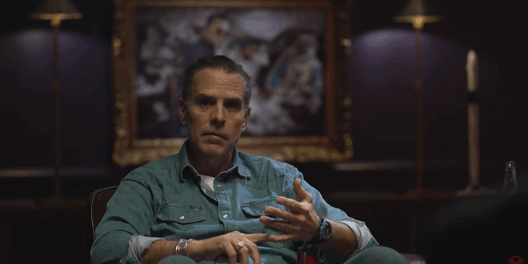 Hunter Biden during an interview.