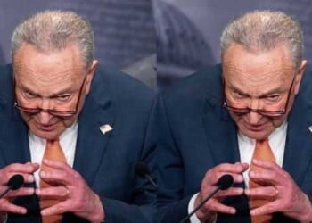 Schumer versus Schumer: Damning footage exposes Democrat flip-flop