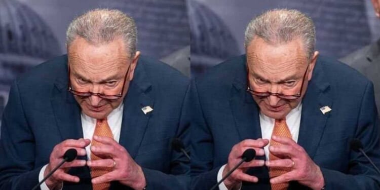 Schumer versus Schumer: Damning footage exposes Democrat flip-flop