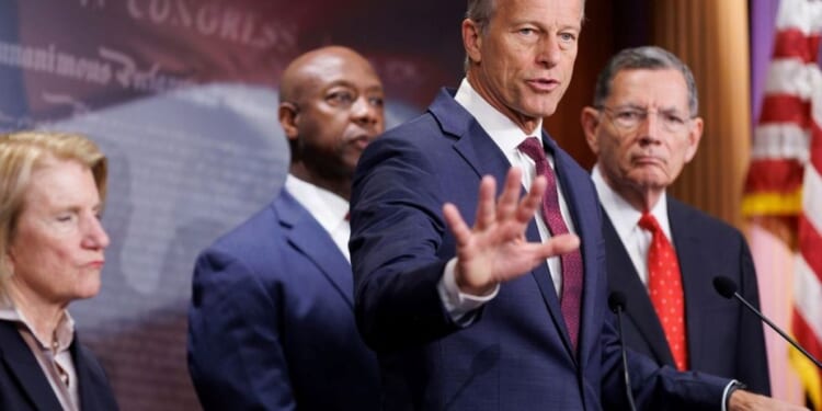 Senate Republicans strike down Schumer's 'convoluted' effort to fund TSA