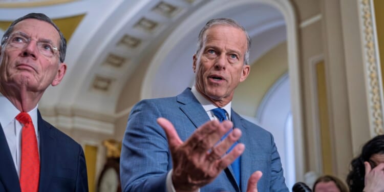 Senate moves to ban homebuying by large investors