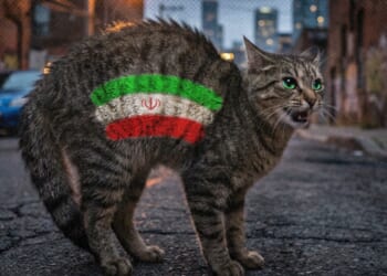 Sophie Starkova: Iranian Sleeper Cells Here at Home