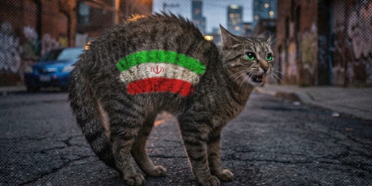 Sophie Starkova: Iranian Sleeper Cells Here at Home