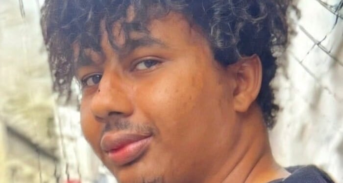 The ‘Monster of Cherbourg’