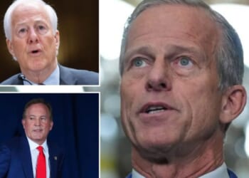 Thune-aligned PAC stays on sidelines as Cornyn slips in Texas