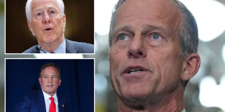 Thune-aligned PAC stays on sidelines as Cornyn slips in Texas