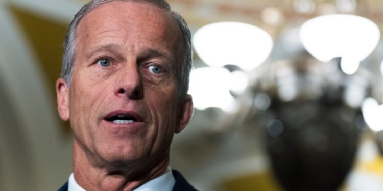 Thune pressured to end Senate's two-week break and reopen DHS