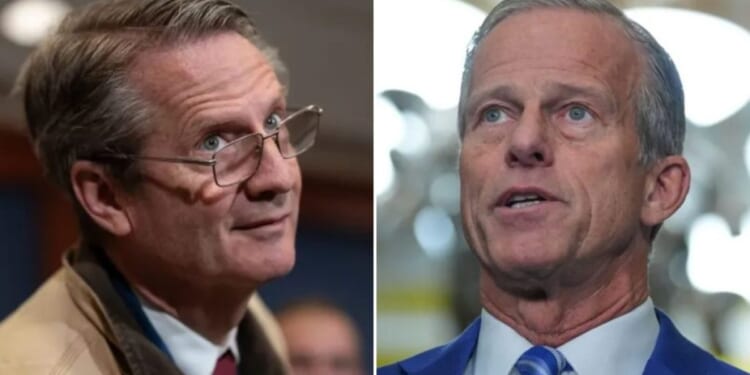 Tim Burchett calls for new Senate leadership